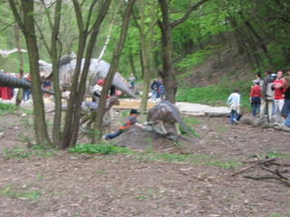 ZOO 2006