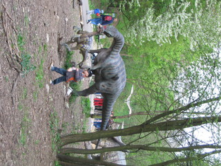 ZOO 2006