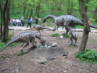 ZOO 2006