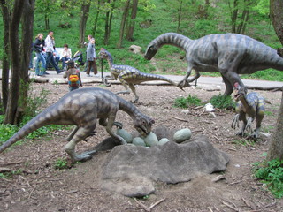 ZOO 2006