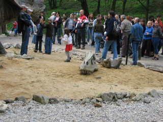 ZOO 2006