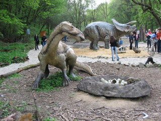 ZOO 2006