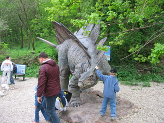 ZOO 2006