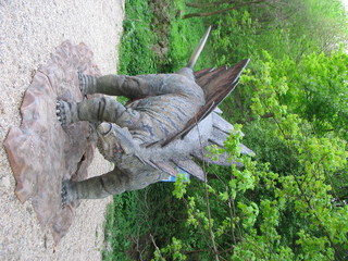 ZOO 2006