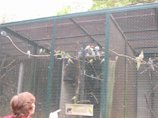 ZOO 2006