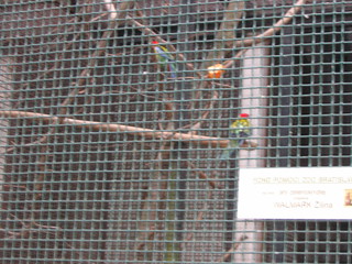 ZOO 2006