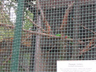 ZOO 2006