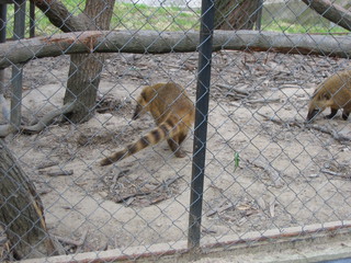 ZOO 2006