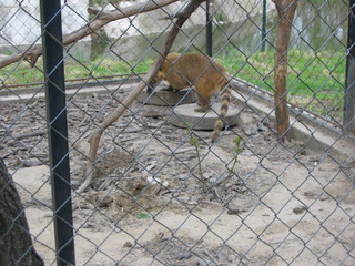 ZOO 2006