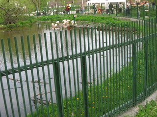 ZOO 2006