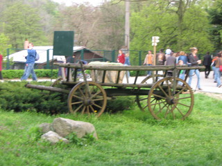 ZOO 2006