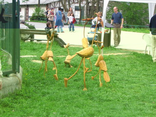 ZOO 2006
