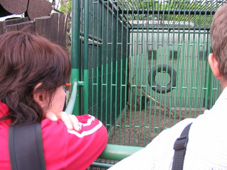 ZOO 2006