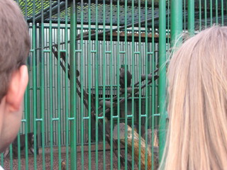 ZOO 2006