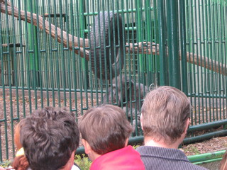 ZOO 2006