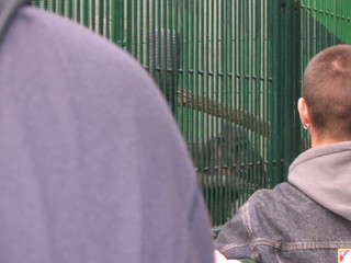 ZOO 2006