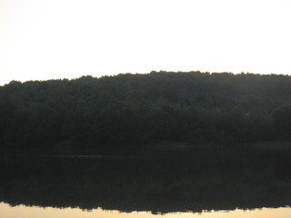Domasa