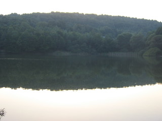 Domasa