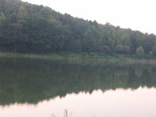 Domasa