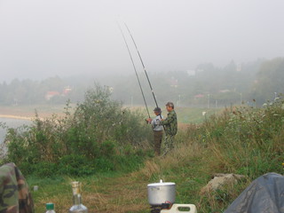 Domasa