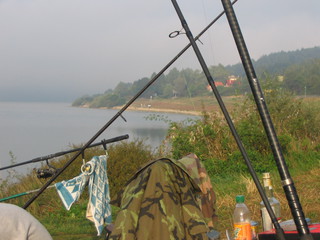 Domasa