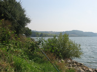 Domasa