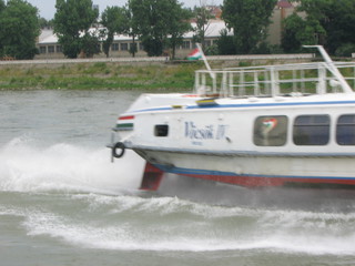 Devin 2006