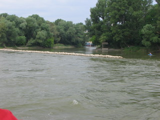 Devin 2006