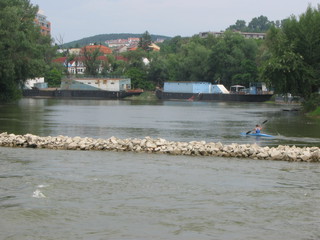 Devin 2006