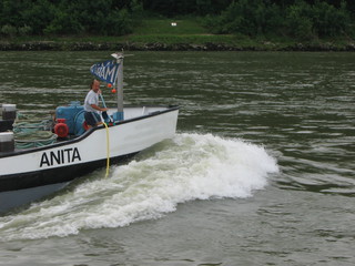 Devin 2006