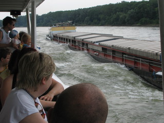 Devin 2006