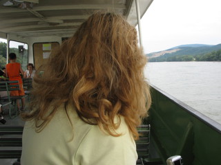 Devin 2006
