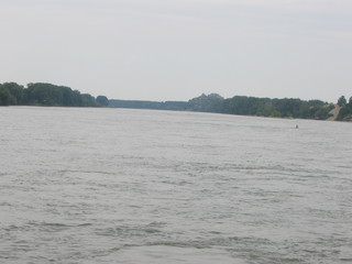 Devin 2006