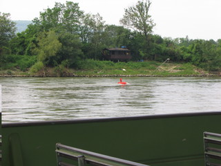 Devin 2006