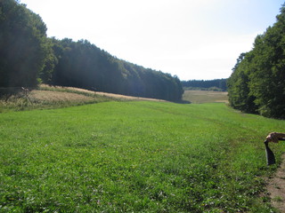 Modrova pri Piestanoch 2006