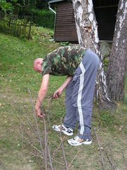 Modrova pri Piestanoch 2006