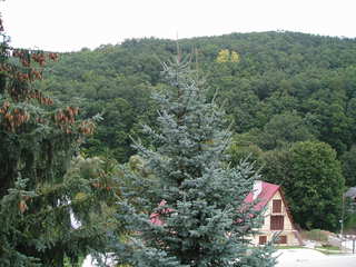Modrova pri Piestanoch 2006