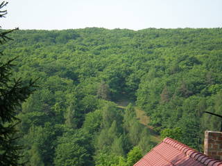 Sv. Jur 2007