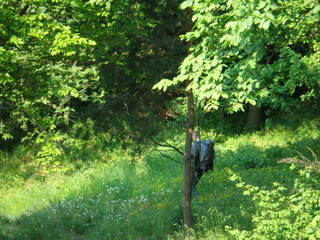 Sv. Jur 2007