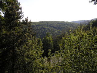 Sv. Jur 2007