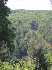 Sv. Jur 2007