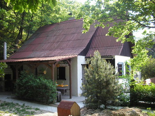 Sv. Jur 2007
