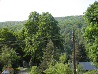 Sv. Jur 2007