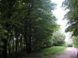 Sv. Jur 2007