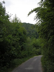 Sv. Jur 2007