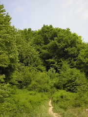 Sv. Jur 2007