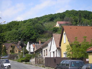 Sv. Jur 2007